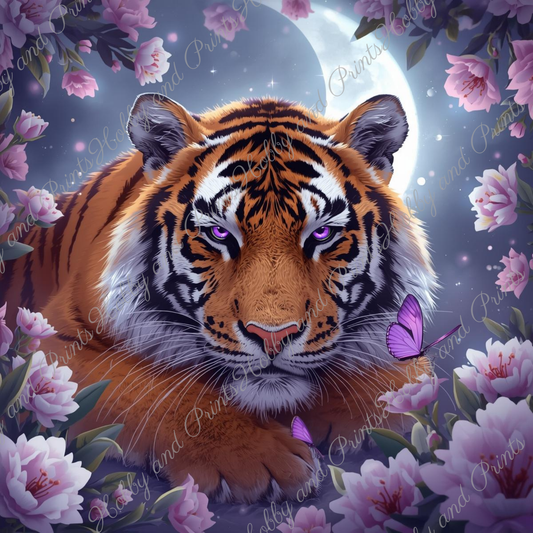 Tiger im Traumland