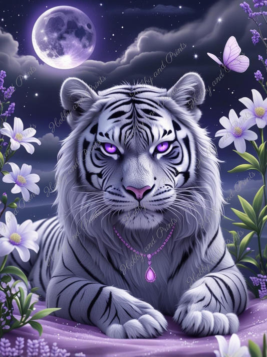 weißer Tiger bei Nacht