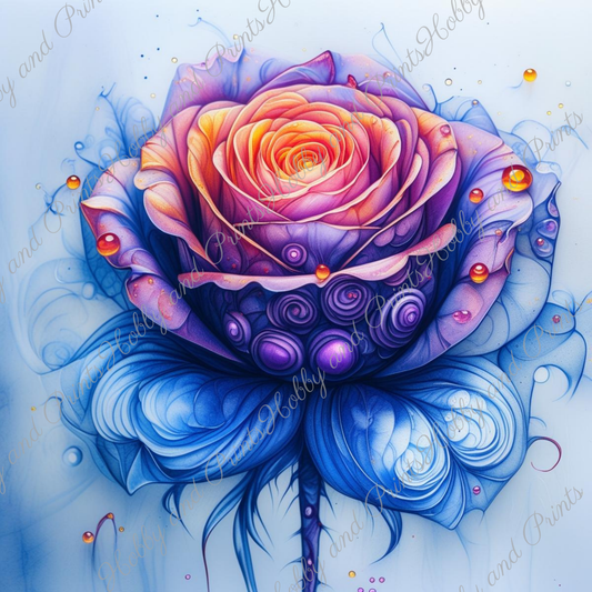 Bunte Rose in gelb blau